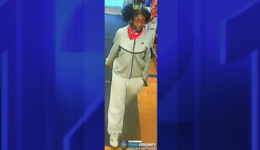 News 12 | Bronx | Group Violently Robs Teen Awaiting Meetup At Lincoln Terrace Park
