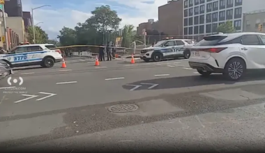 News 12 | The Bronx