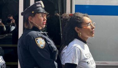Mamdani-backed, socialist House nominee arrested at UN summit in NYC