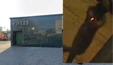 Queens shooting: Gunman sought for executing man steps away from strip club