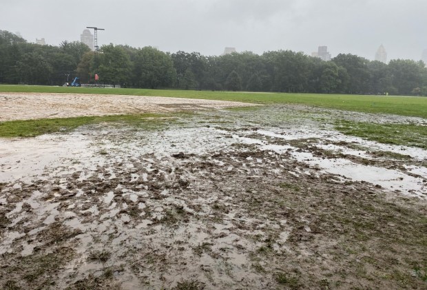 The Great Lawn in Central Park is pictured after the 2023 Global Citizen Festival. (Central Park Conservancy)