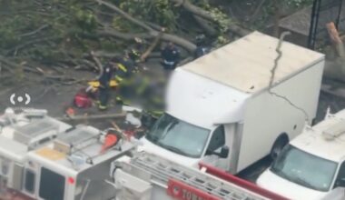 Man killed by fallen tree in Brooklyn amid weekend nor'easter