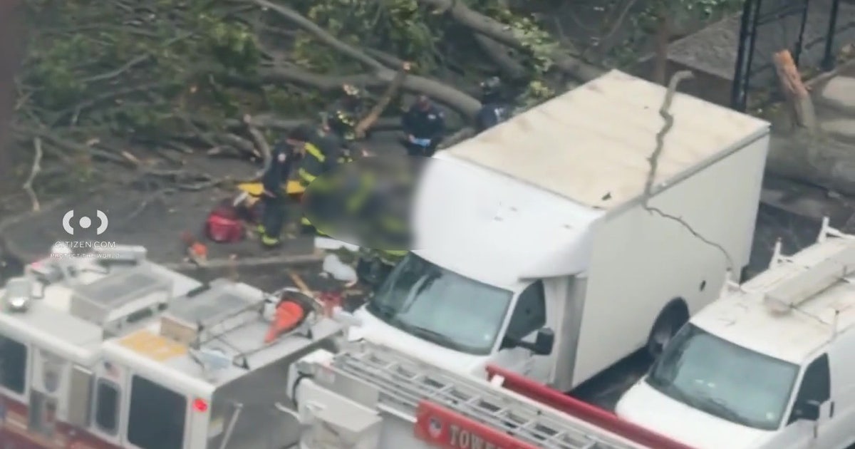 Man killed by fallen tree in Brooklyn amid weekend nor'easter