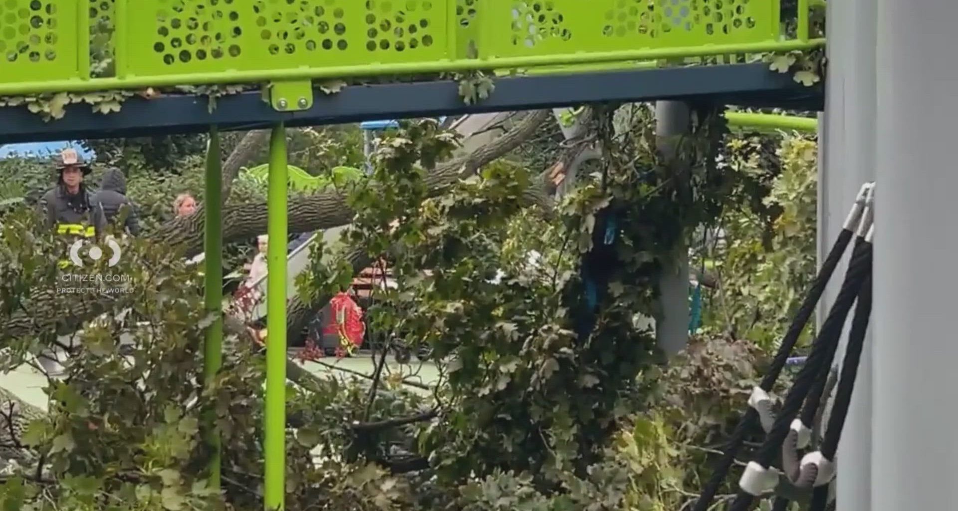 News 12 | Bronx | 4 Hurt After Tree Collapses At Kelly Park Playground In Homecrest