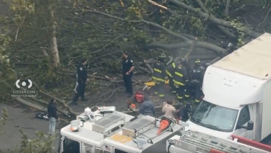 News 12 | Westchester | Falling Tree Kills Nycha Employee In East New York