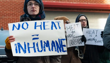 people holding signs