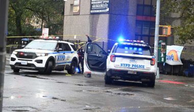 Man fighting for his life after being shot in the head in Brooklyn