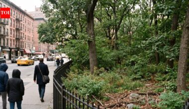 In 1965, an artist proposed restoring Manhattan’s lost native woods on one street corner; by 1998, the small pre-colonial forest had become a protected city landmark | World News