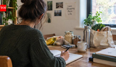 In 2004, a Brooklyn writer stopped all non-essential shopping to challenge consumer culture; she completed 365 days buying only necessities and turned it into a book | World News