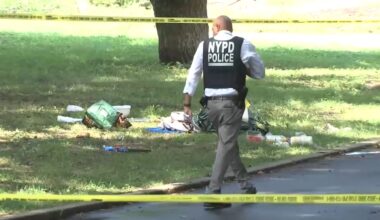 Suspect arrested in deadly stabbing of 30-year-old mother Shakeema Davis at Crown Heights, Brooklyn barbecue