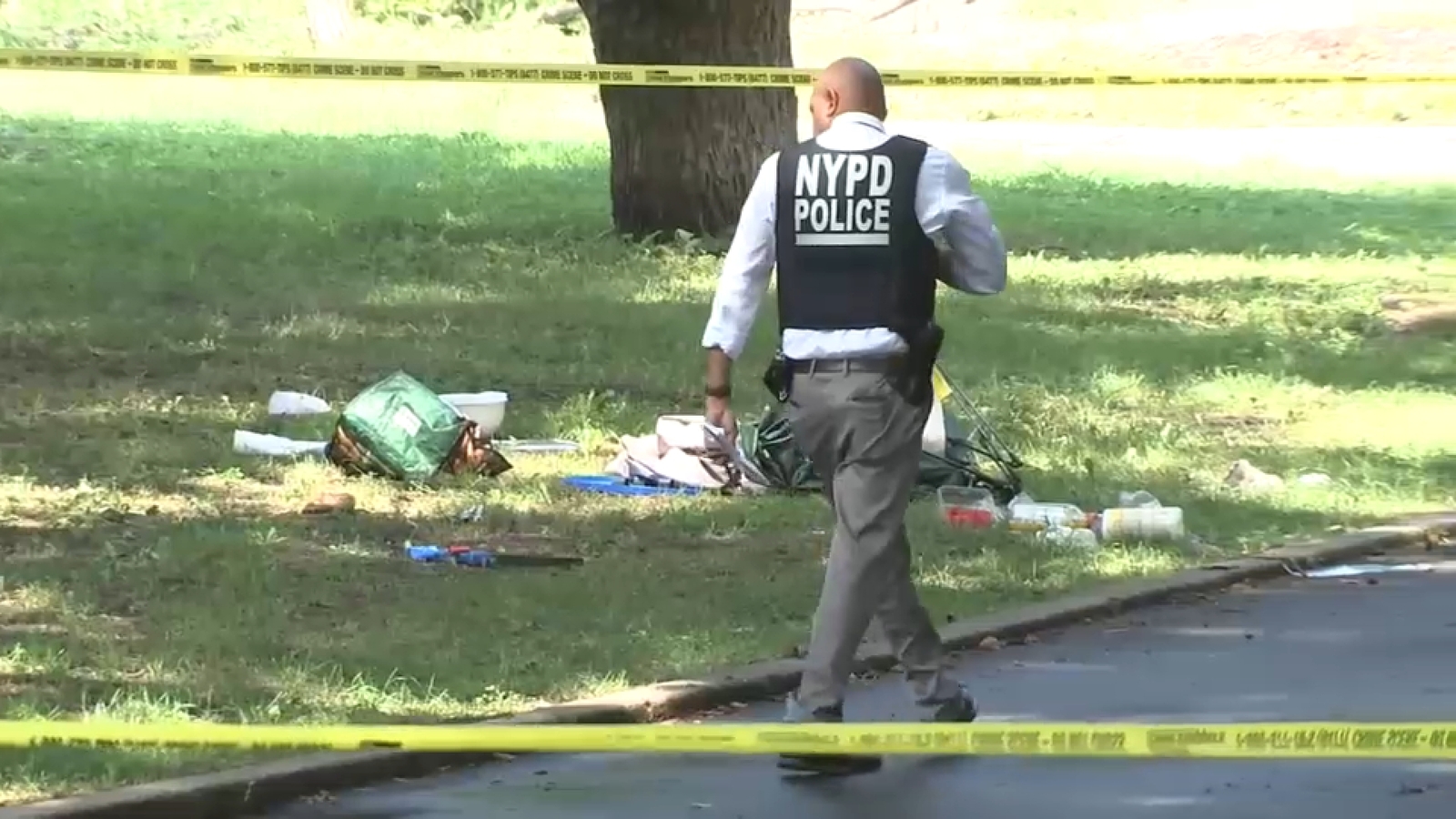 Suspect arrested in deadly stabbing of 30-year-old mother Shakeema Davis at Crown Heights, Brooklyn barbecue