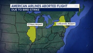American Airlines flight to Chicago O'Hare airport aborts takeoff at LaGuardia in New York City after apparent bird strike