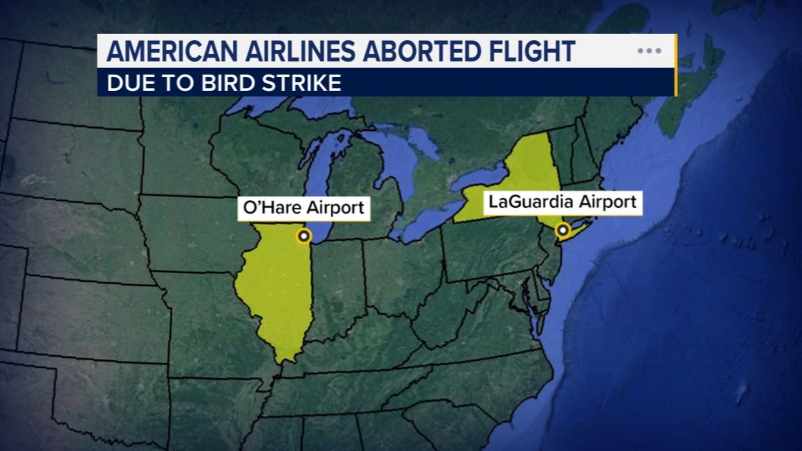 American Airlines flight to Chicago O'Hare airport aborts takeoff at LaGuardia in New York City after apparent bird strike
