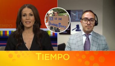 Tiempo with Joe Torres: NYC Latino Film Festival to feature 100 screenings, ICE raids in Danbury, Connecticut sparks concern
