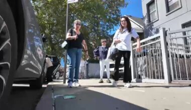Bensonhurst's Chinese American community object to NYC's tree planting plan over feng shui