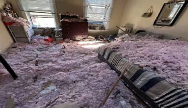 Bronx tenants seek court oversight of building after over 100 housing code violations reported