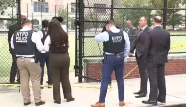 Brooklyn shooting: 24-year-old man fatally shot inside McLaughlin Park; police searching for gunman