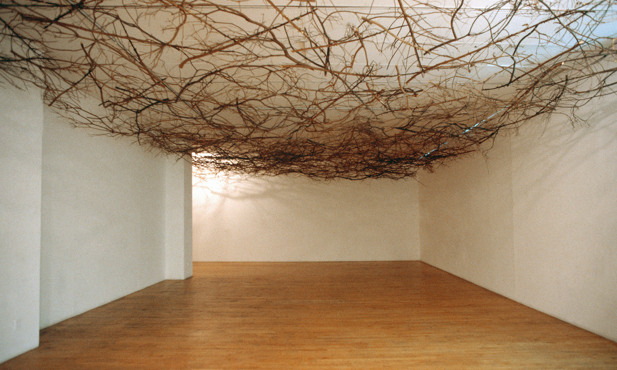 Blanket of Branches by Maren Hessinger at susan inglett gallery in new york this fall.