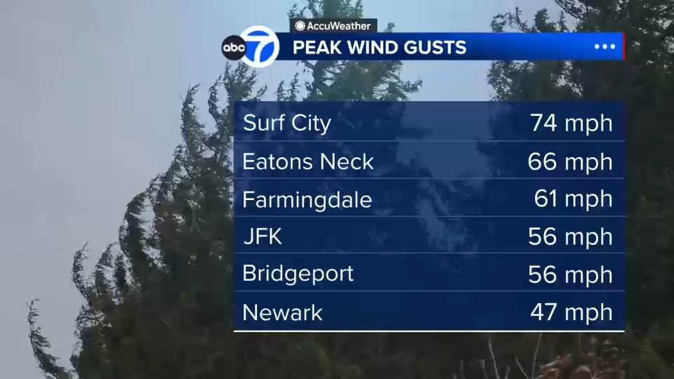 nor'easter nyc 2026 wind