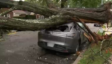 NYC nor'easter impact: Cleanup begins after storm downs trees in Queens, Brooklyn