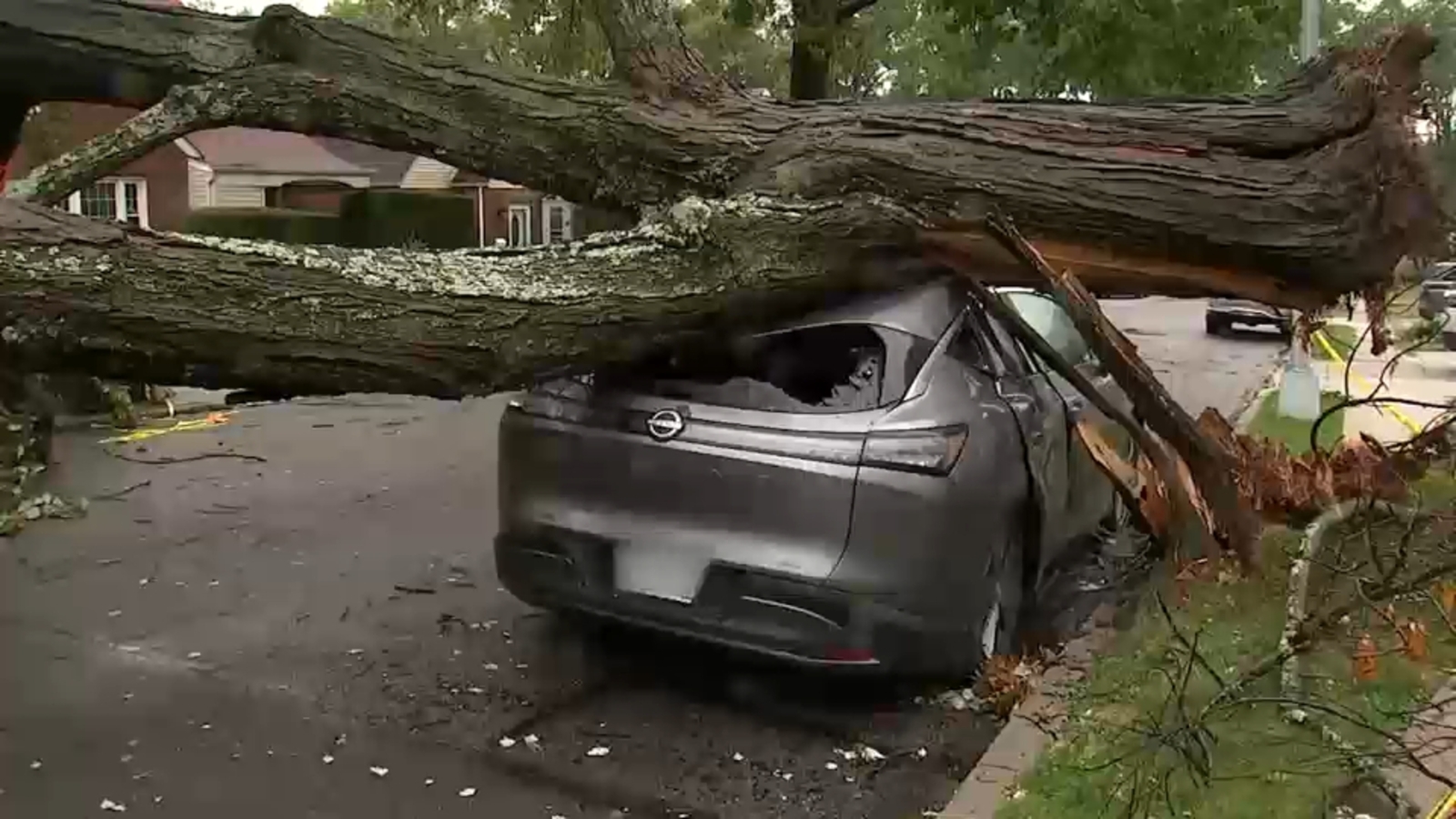 NYC nor'easter impact: Cleanup begins after storm downs trees in Queens, Brooklyn