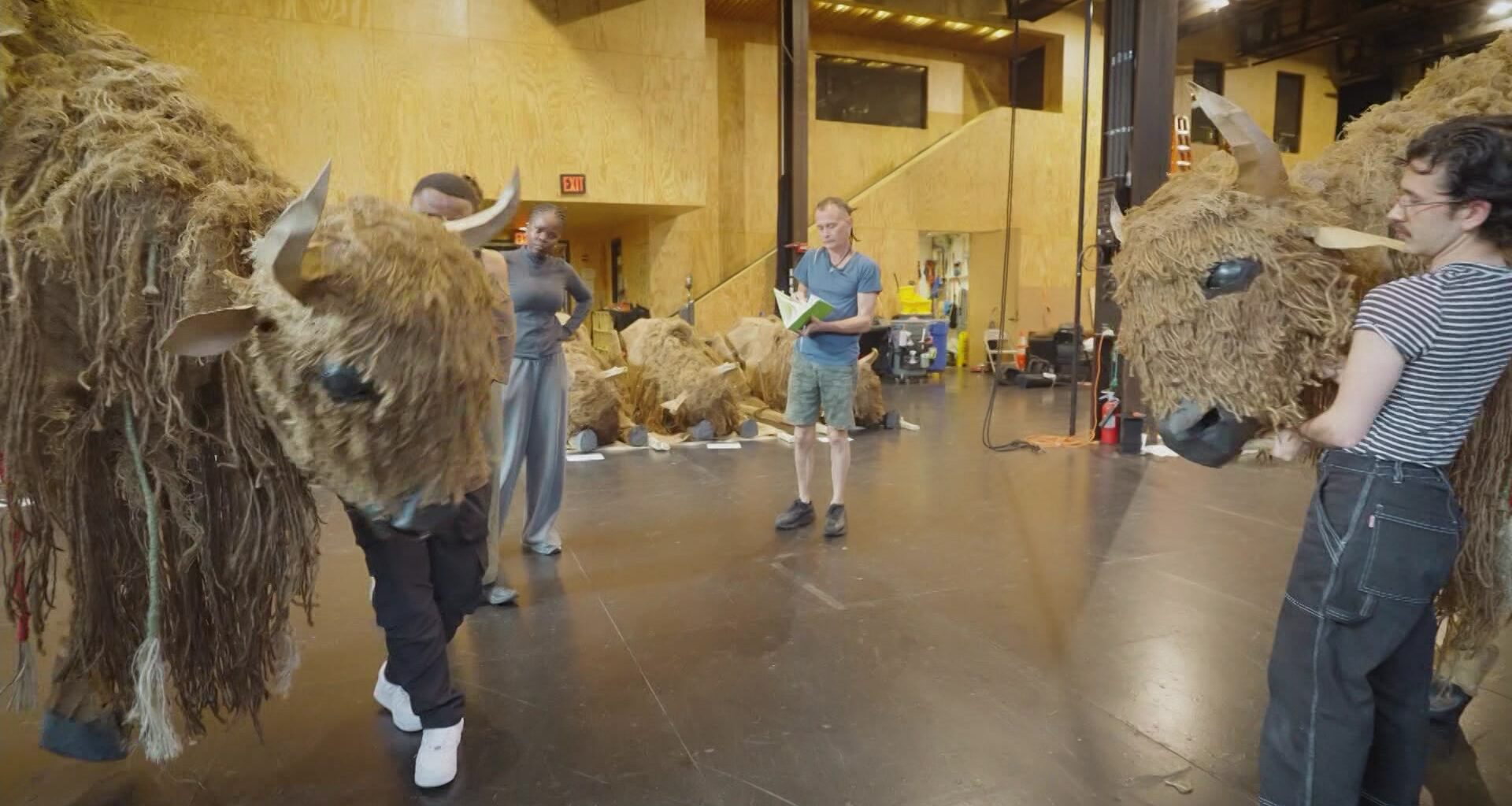 News 12 | Brooklyn | Art Display To Bring 40 Life Size Buffalo Puppets To Brooklyn