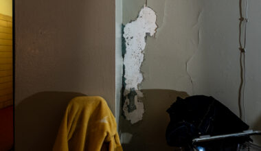 NYCHA mitchel housing