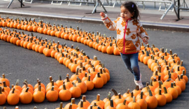 Top 10 October family events in Brooklyn 2026 | Brooklyn Bridge Parents