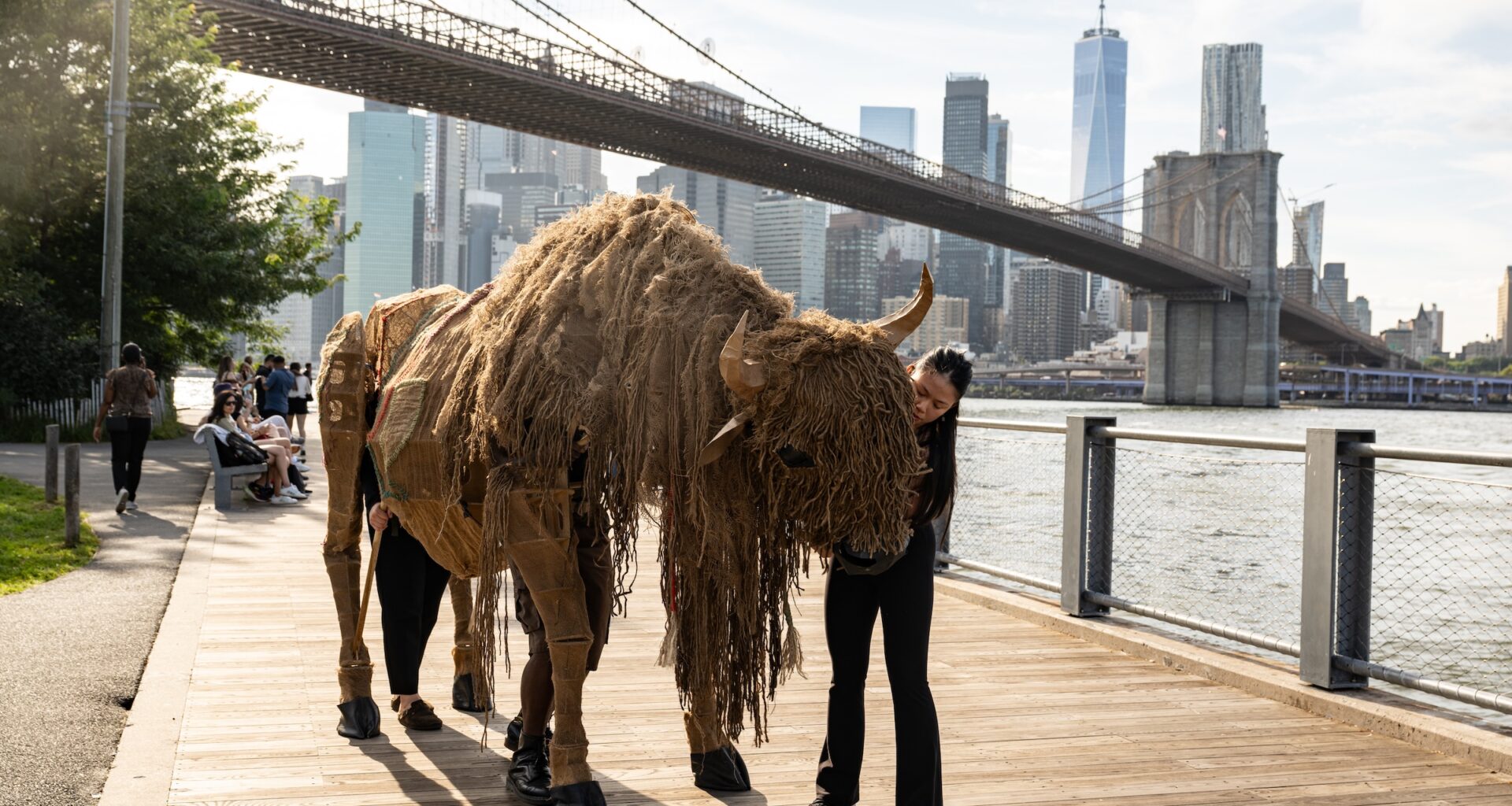 The Buffalo Are Coming, the Buffalo Are Coming