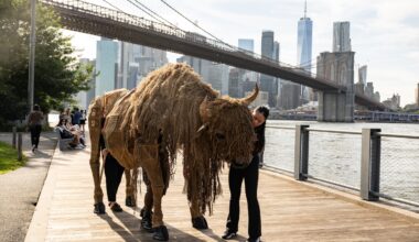 The Buffalo Are Coming, the Buffalo Are Coming