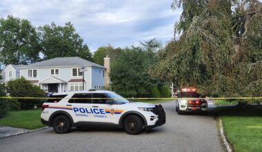 News 12 | Bronx | Landscaper Dies After Falling Off Work Truck In East Hills