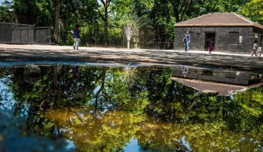 The redesign and reconstruction of Bailey Playground in Kingsbridge topped the list of Community Board 8&rsquo;s fiscal year 2028 capital rankings.
