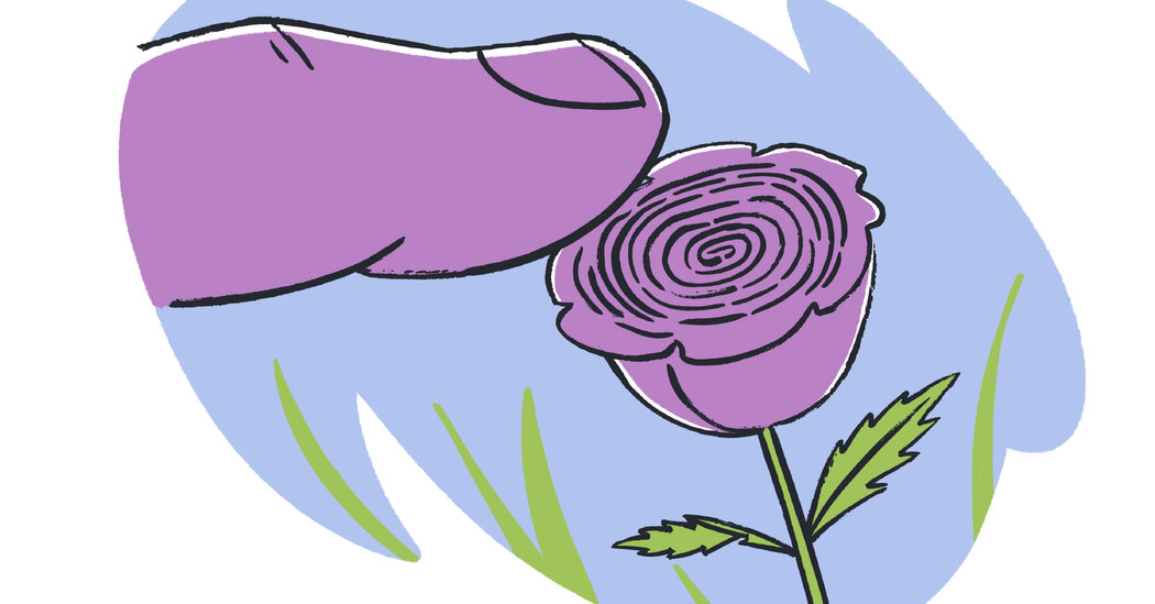 NYT Connections Answers for September 22, 2026