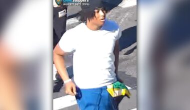 West Indian Day Parade gunman was aiming at rival when he shot two strangers