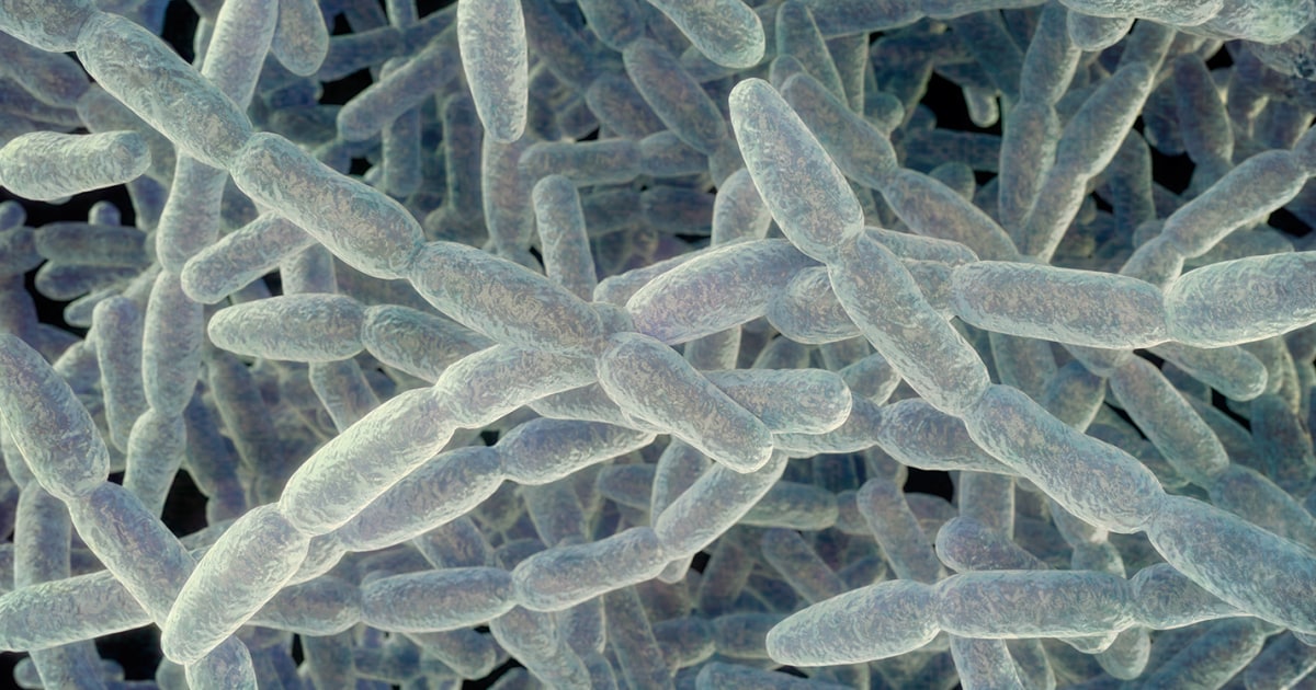 NYC unveils new Legionnaires safety measures after 11 deaths in Upper East Side cluster
