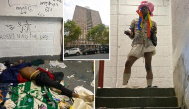 NYC tenants beg for help as squatter terrorizes NYCHA housing project