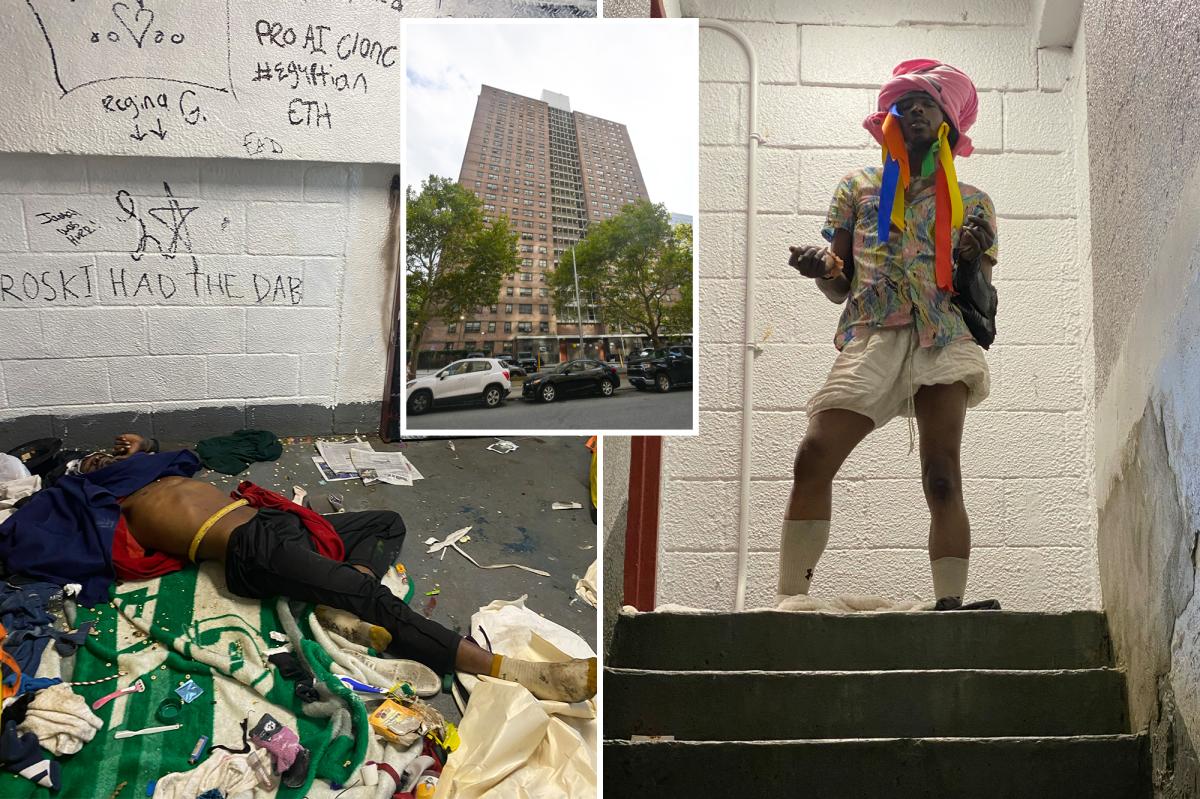 NYC tenants beg for help as squatter terrorizes NYCHA housing project