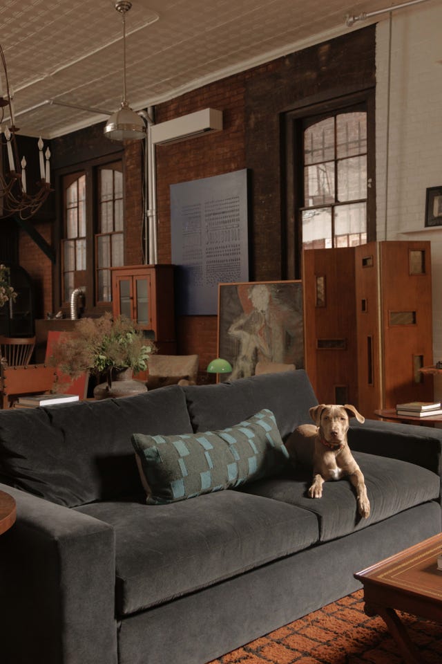 Stylish living room with a dark sofa, decorative pillow, and a dog lounging comfortably on the couch.