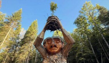 Wild Center secures New York's first permanent Dambo Troll