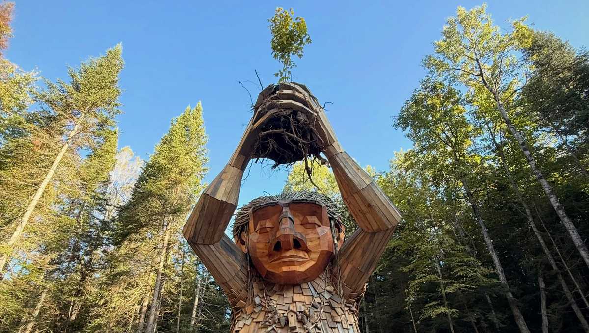 Wild Center secures New York's first permanent Dambo Troll