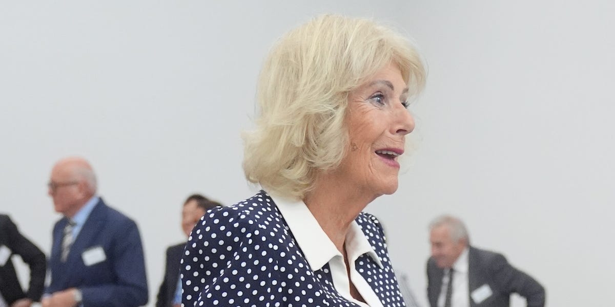 ‘Camilla copies Kate’: Queen borrows from Princess of Wales in polka dot midi – M&S’s double is £48
