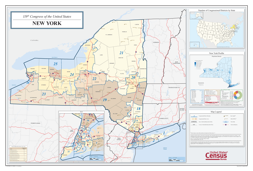 NY State political map