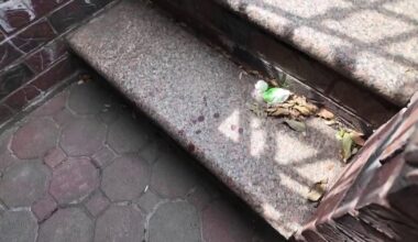 Video shows Brooklyn rabbi attacked and bloodied on steps of his home
