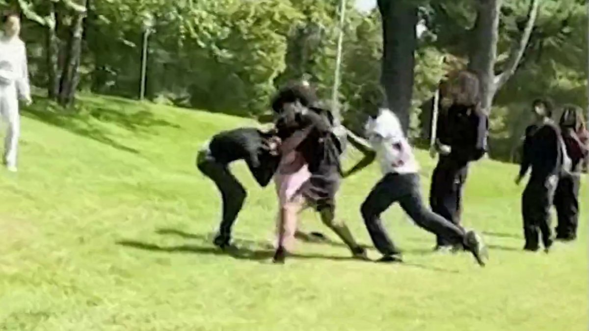Two stabbed during fight at Westchester Community College – NBC New York