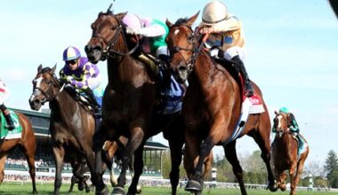 Expensive Queen, Segesta Meet Again in First Lady
