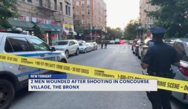 News 12 | Bronx | 2 Men 70 And 65 Years Old Wounded In Concourse Village Shooting