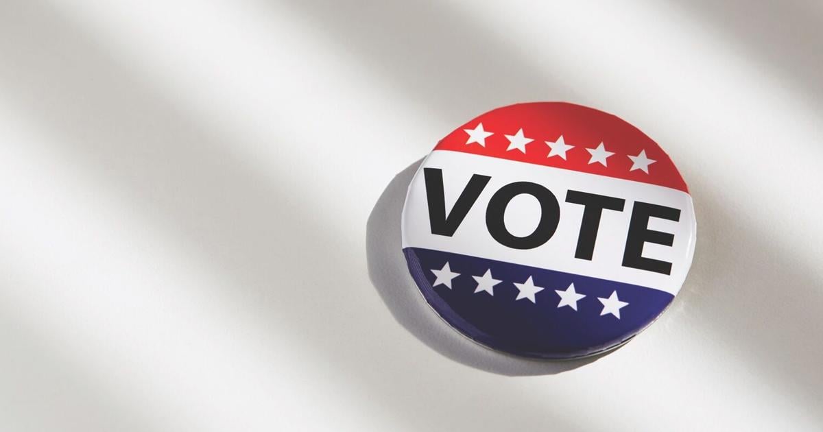 VOTER'S GUIDE: Gill, Klonowski vie for Central District seat on Brooklyn Park council | Psa