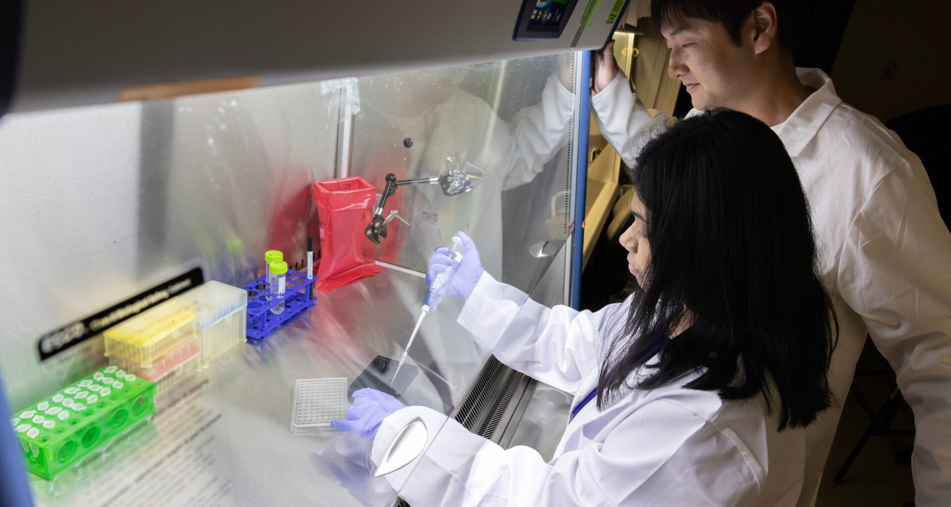 SUNY Brain Institute Awards $500k Grant to Binghamton University, State University of New York for Advanced Dementia Research