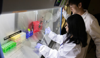 SUNY Brain Institute Awards $500k Grant to Binghamton University, State University of New York for Advanced Dementia Research