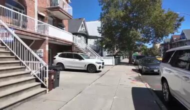 Residents object to New York City's tree planting plan over cultural impact | National and World News